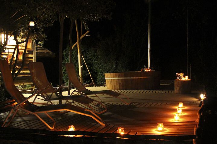 Wellness Treatments