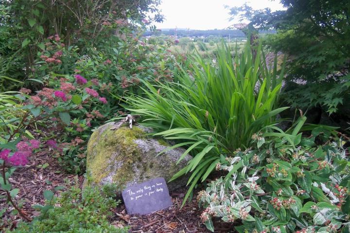 Spa and Wellness Pictures