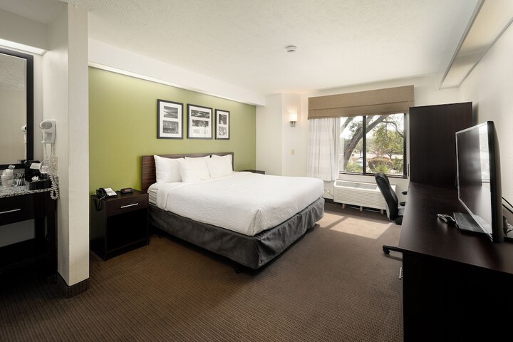 1 King Bed (1 of 3)