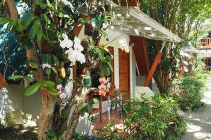 Terrace/Patio 67 of 68