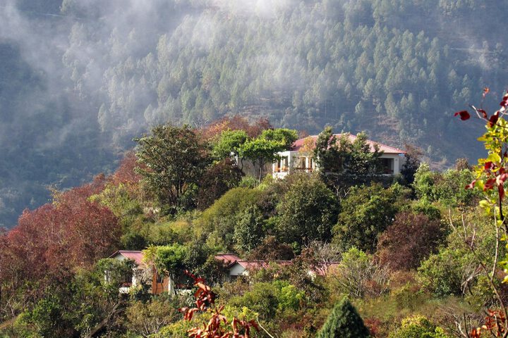 Auranya - The Himalayan jungle retreat