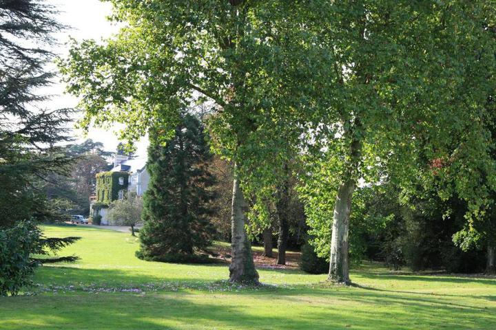 Photo 23