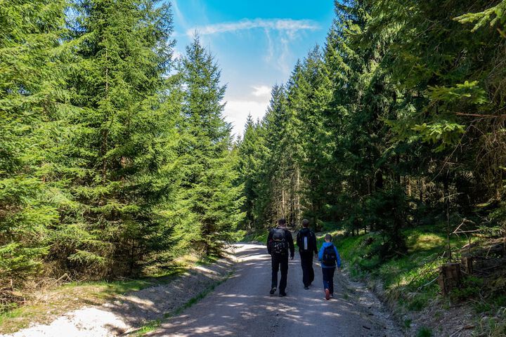Hiking