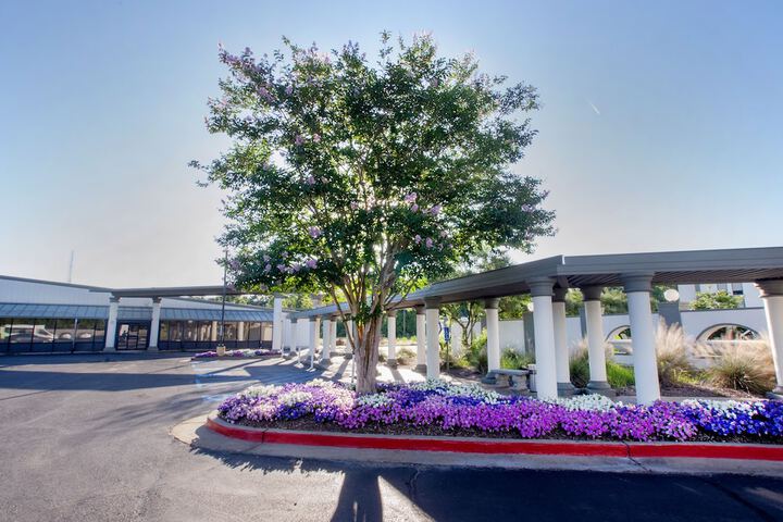Wyndham Garden Alexandria