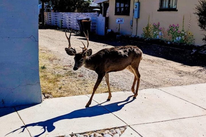 Outdoor Activities 40 of 100