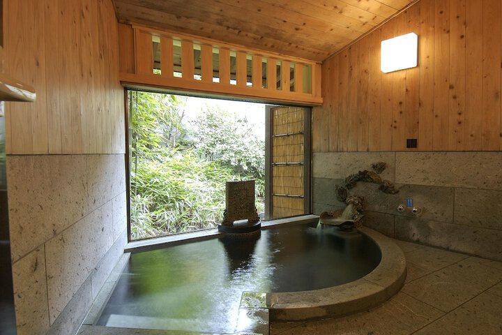 Wellness Treatments