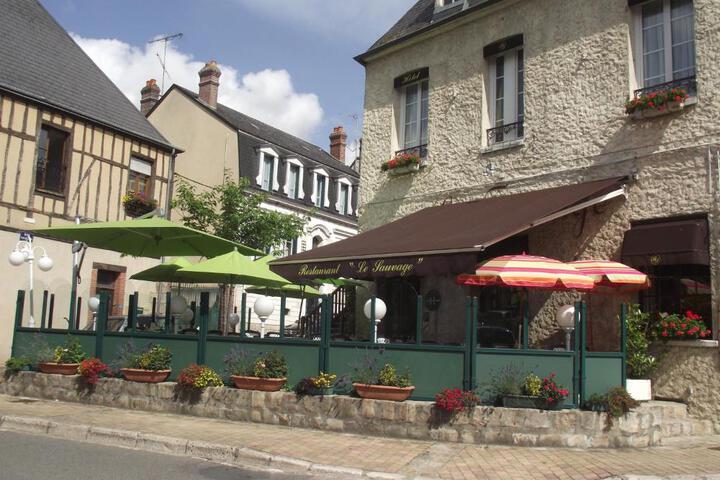 Le Sauvage