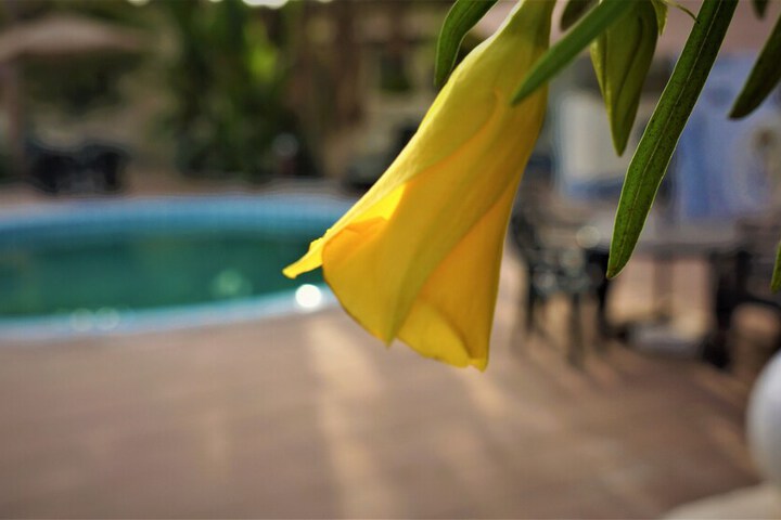 Pool 42 of 53