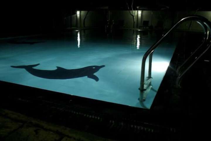 Pool 13 of 24