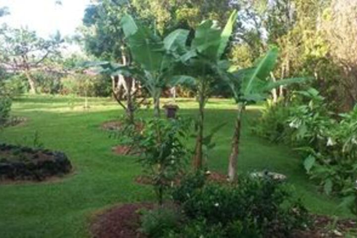 Hotel Exterior 9 of 24