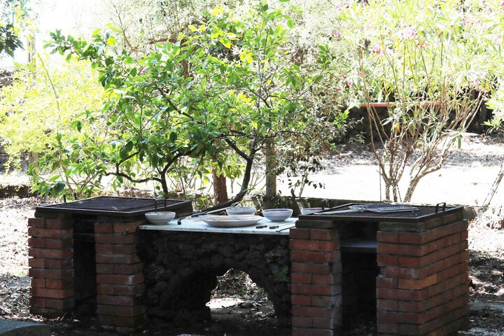 Property Grounds 14 of 16