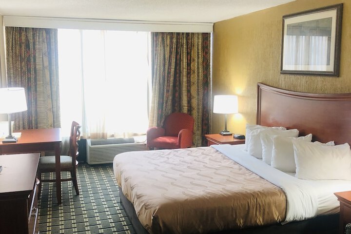 Standard | King Bed (6 of 10)