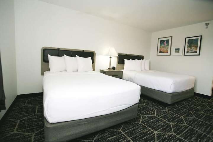 1 Queen Bed Mobility Hearing Accessible Room Roll in Shower (4 of 6)