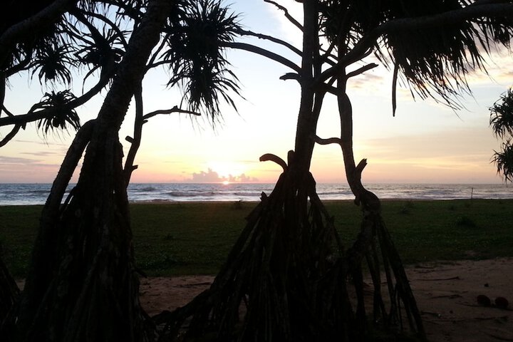 Beach 107 of 123