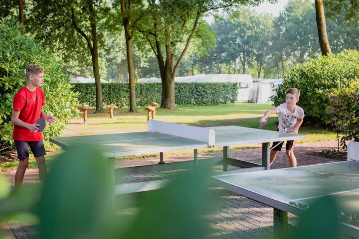 Property Grounds 21 of 32