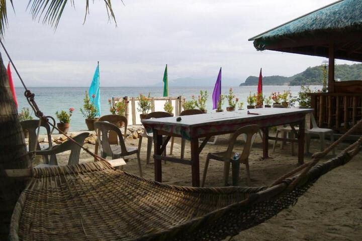 Photo 4