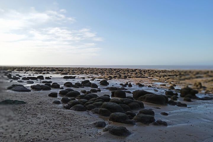 Beach 19 of 23