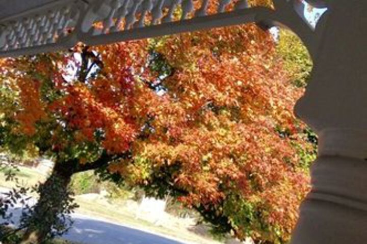 Terrace/Patio 38 of 49