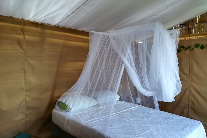 Room 5 of 23