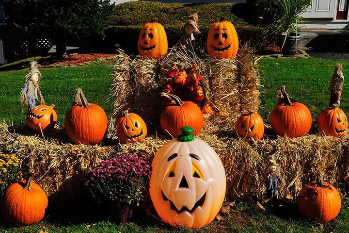 Property Grounds 32 of 49