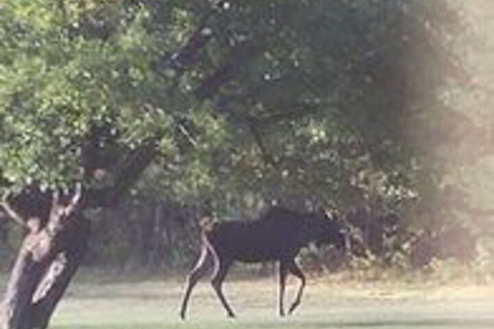 Property Grounds 37 of 38