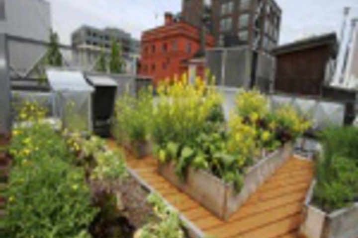Terrace/Patio 49 of 420