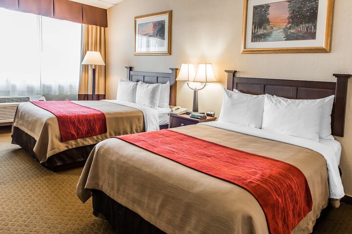 Standard Room, King or Two Doubles (8 of 9)