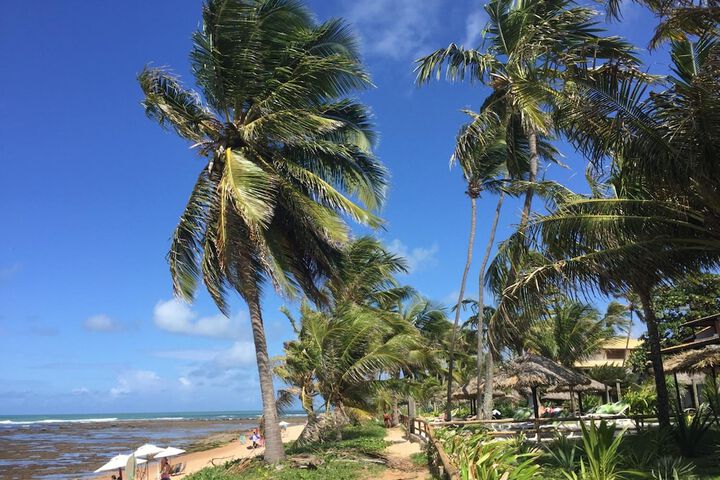 Beach 40 of 53