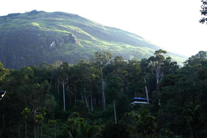 Spa and Wellness Pictures