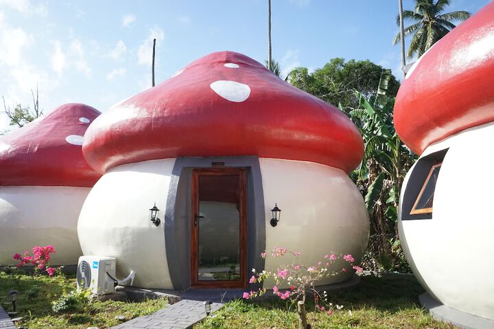 Exterior of Mushrooms Inn