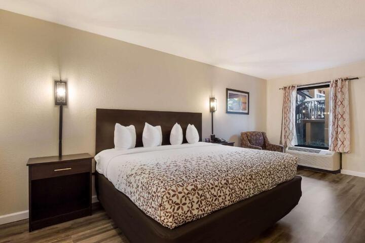 1 King Bed (1 of 4)