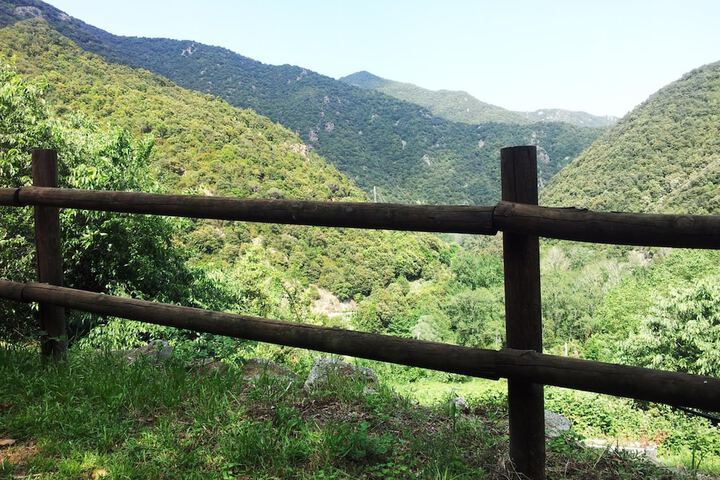 Property Grounds 45 of 56