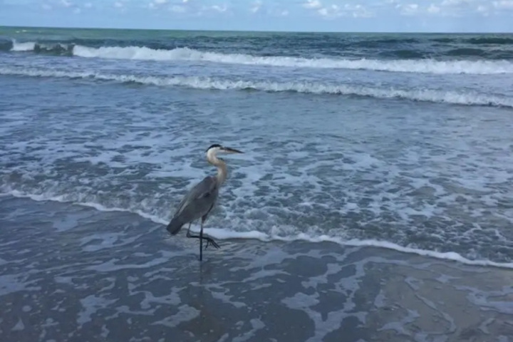 Beach 15 of 22