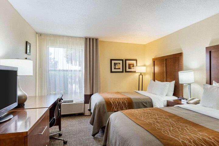 Standard Room, King or Two Doubles (6 of 19)