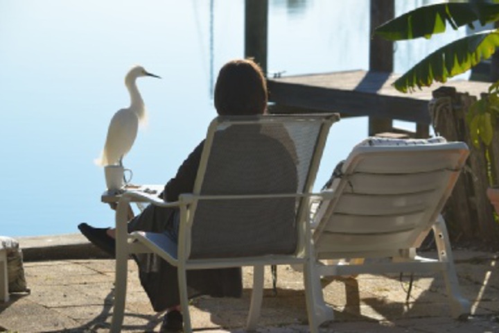 Property Grounds 35 of 576