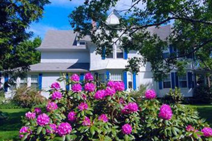 Property Grounds 81 of 83