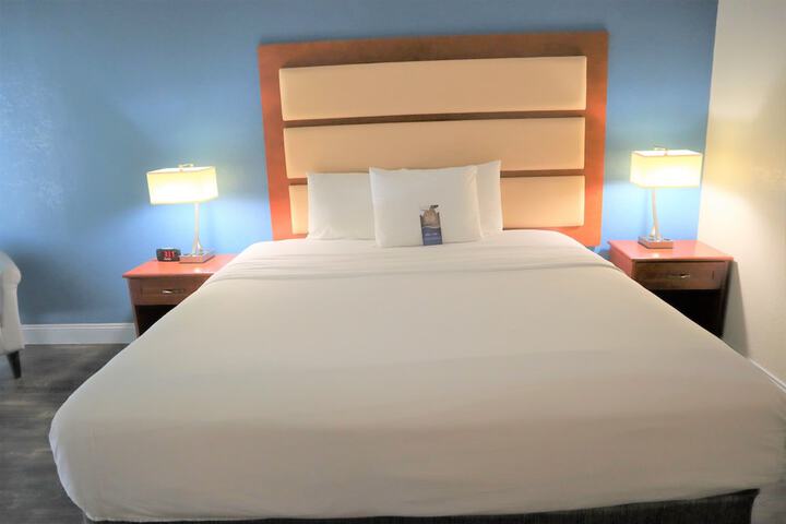 1 King Bed (8 of 9)