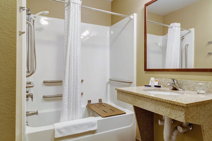 1 King Bed 1 Bedroom Suite (28 of 42)