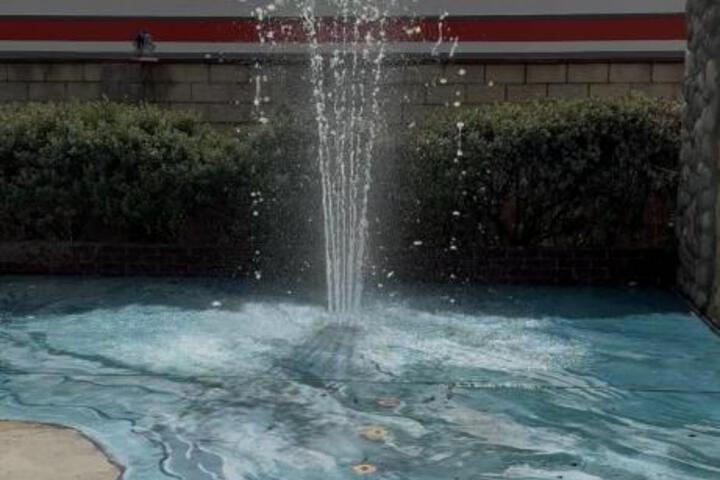 Photo 43