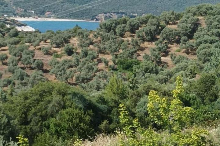 Art Hotel Panorama