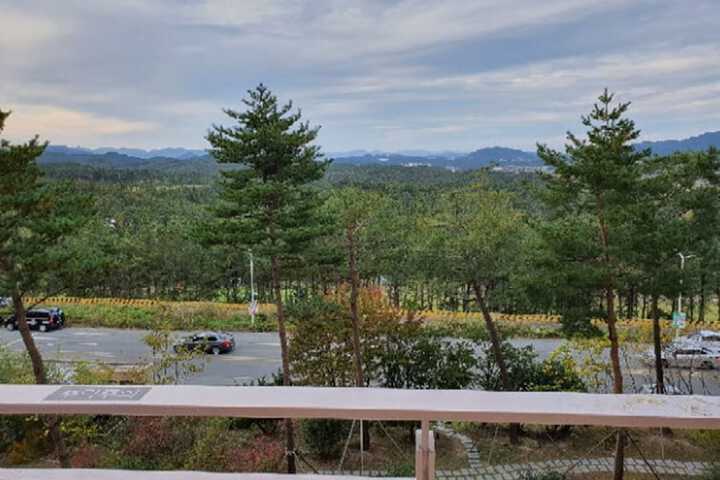 View from room
