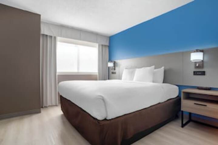 Room 25 of 213