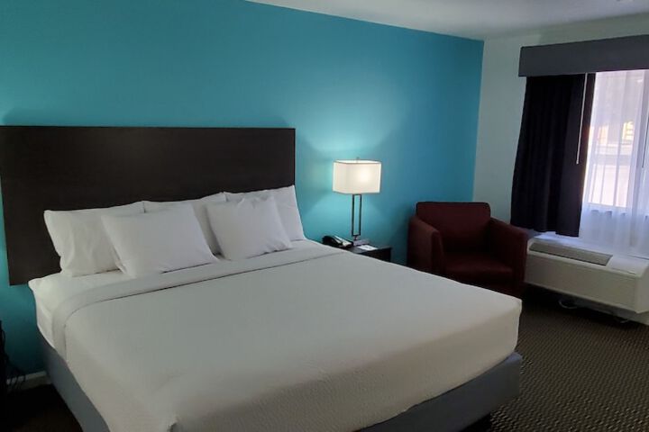 1 King Bed (7 of 9)