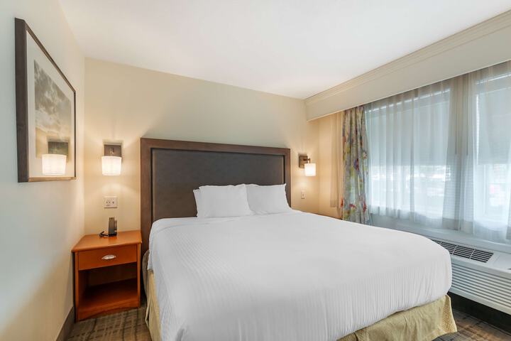 1 King Bed Refridgerator High Speed Internet Coffee Maker, Hair Full Breakfast (13 of 23)