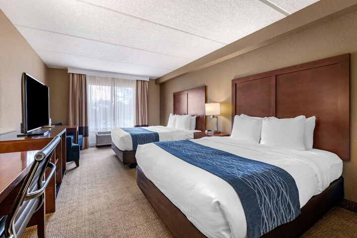 Business 2 Queen Beds Accessible (6 of 24)