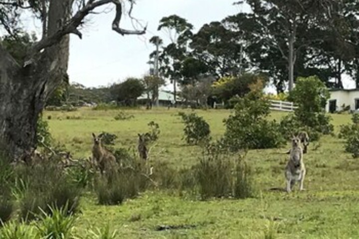 Property Grounds 18 of 20