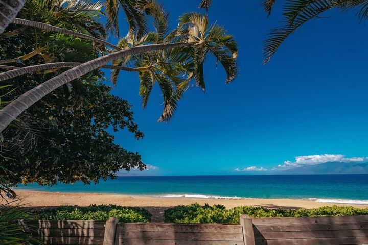 Beach 157 of 183