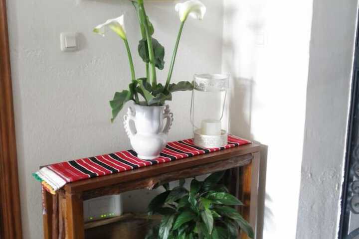 Interior detail