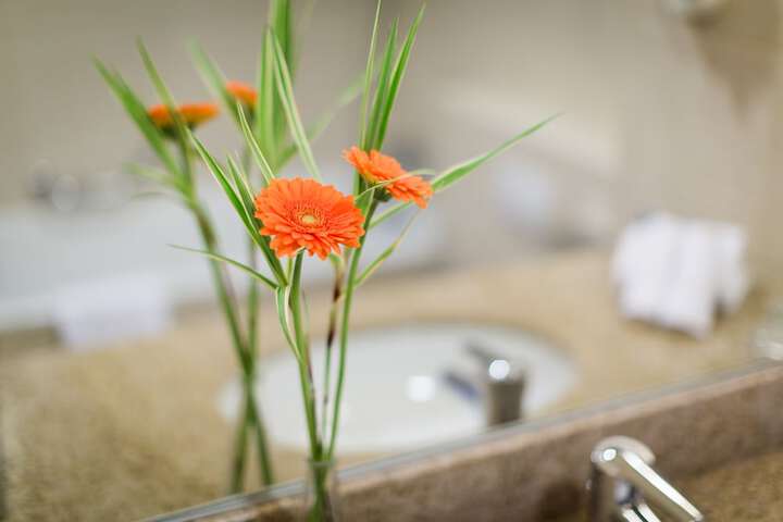 Bathroom Vanities