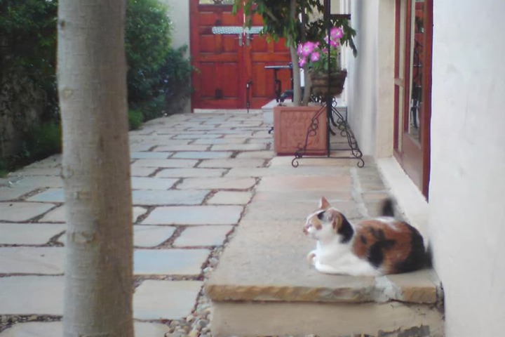 Photo 20